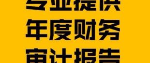 財(cái)務(wù)報(bào)表審計(jì)報(bào)告的費(fèi)用是多少？