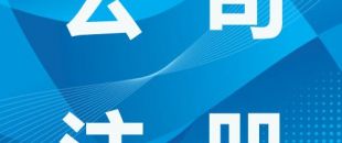 深圳創(chuàng)業(yè)總結(jié)，注冊公司有哪些類型？